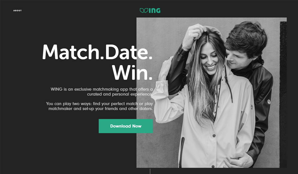 Wing Review: Great Dating App?